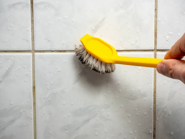Best Mold Damage Repair  in Dowagiac, MI
