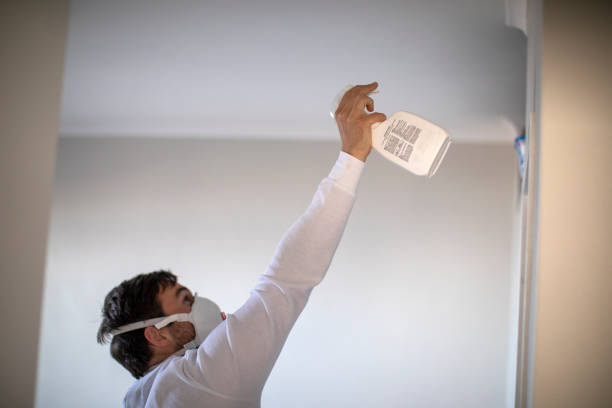 Best Fast Mold Removal  in Dowagiac, MI