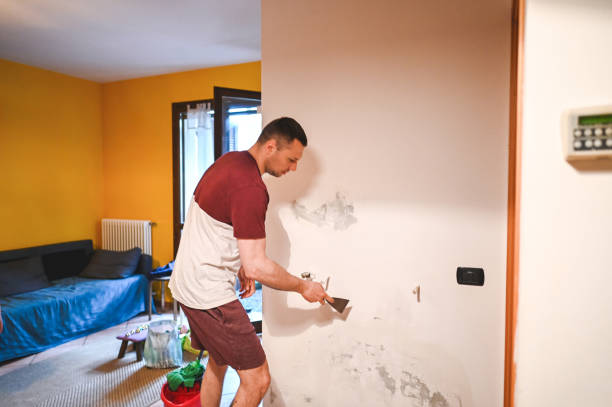 Best Affordable Mold Removal  in Dowagiac, MI